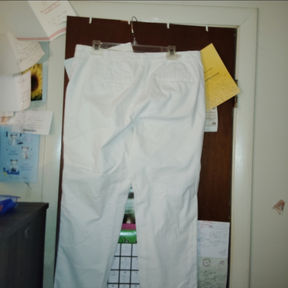 PILCRO & THE LETTERPRESS anthropology High Rise White Jeans Size 32" - Picture 8 of 11